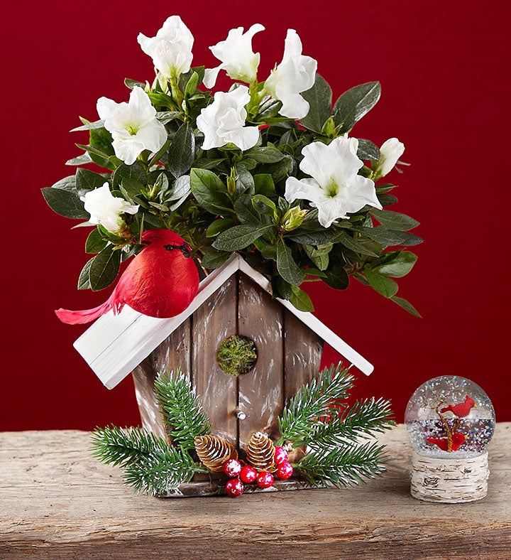Christmas Birdhouse Of Blooms®